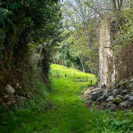 Casa Collado Santo Tomas منزل ريفي Bodes
