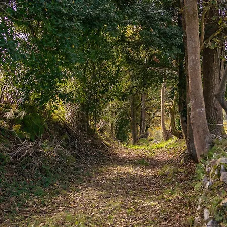 Casa Collado Santo Tomas *